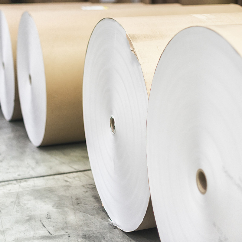 Rollos de papel de filtro